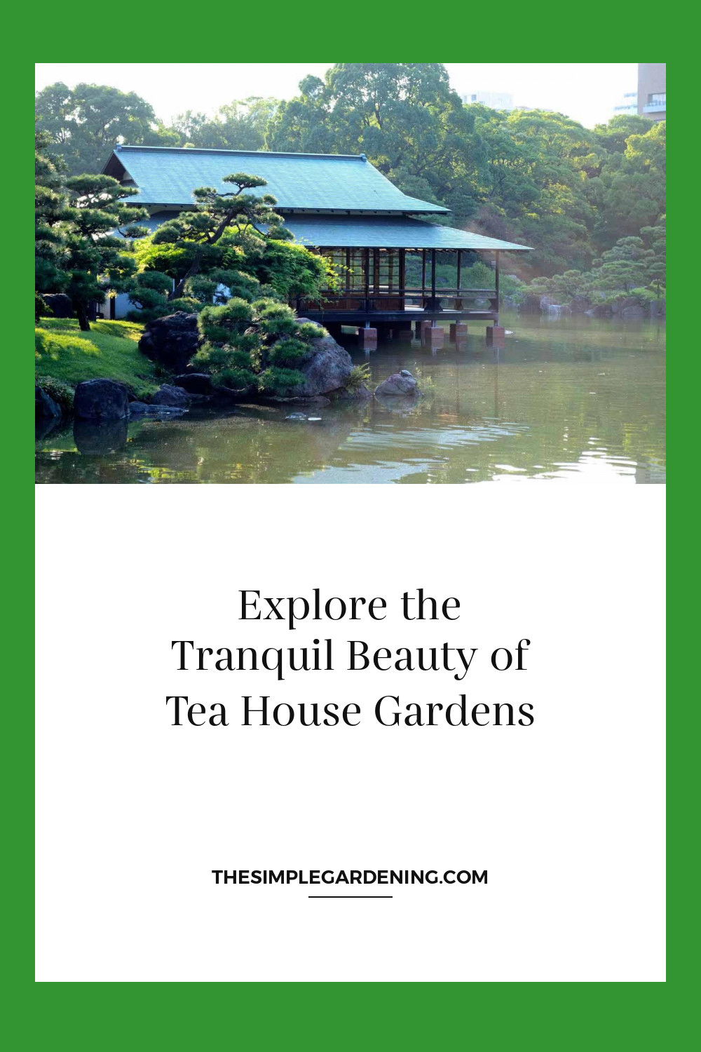 Explore the Tranquil Beauty of Tea House Gardens